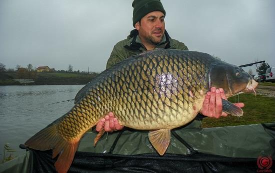 Jurnalul lui gor965: Este sau nu utila lista de intentie la inscrierea in concursurile de crap?